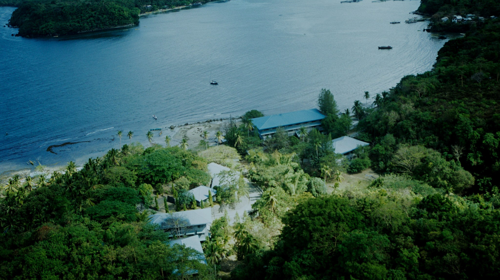 UP Marine Science Institute
